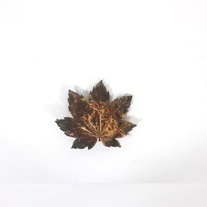 Copper Electroplated Maple Leaf Brooch Pin Souvenir Canadian Canada